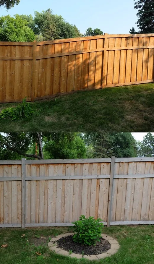 Fully restored privacy fence with straight posts and fresh stain in Edina, MN